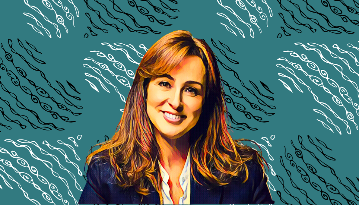 [#content_spinnerchief] 