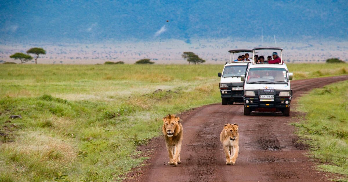 Africa’s Tourism Story Is One The World’s Traveller Wants To Hear 