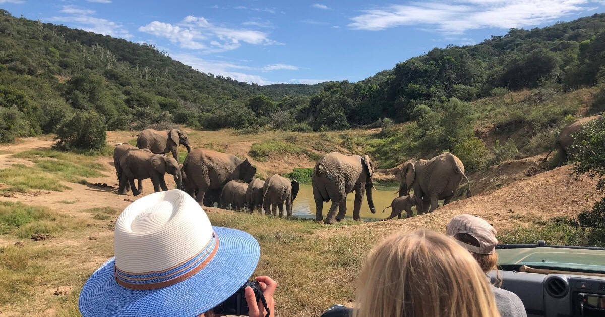 Garden Route Tour Operator Celebrates 20 Years While Driving R5.5 Million Annually into Rural Economies and Conservation 