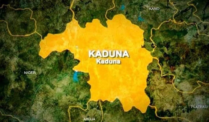 Troops recover 84 livestock from cattle rustlers in Kaduna 