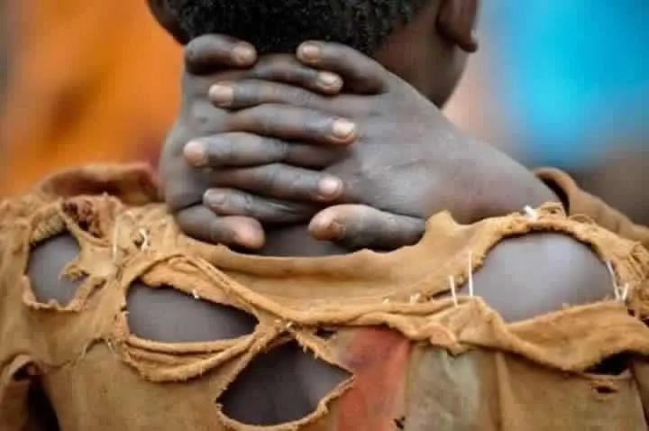 Food security/poverty reduction: Revamping cooperative sector is urgent, not optional 