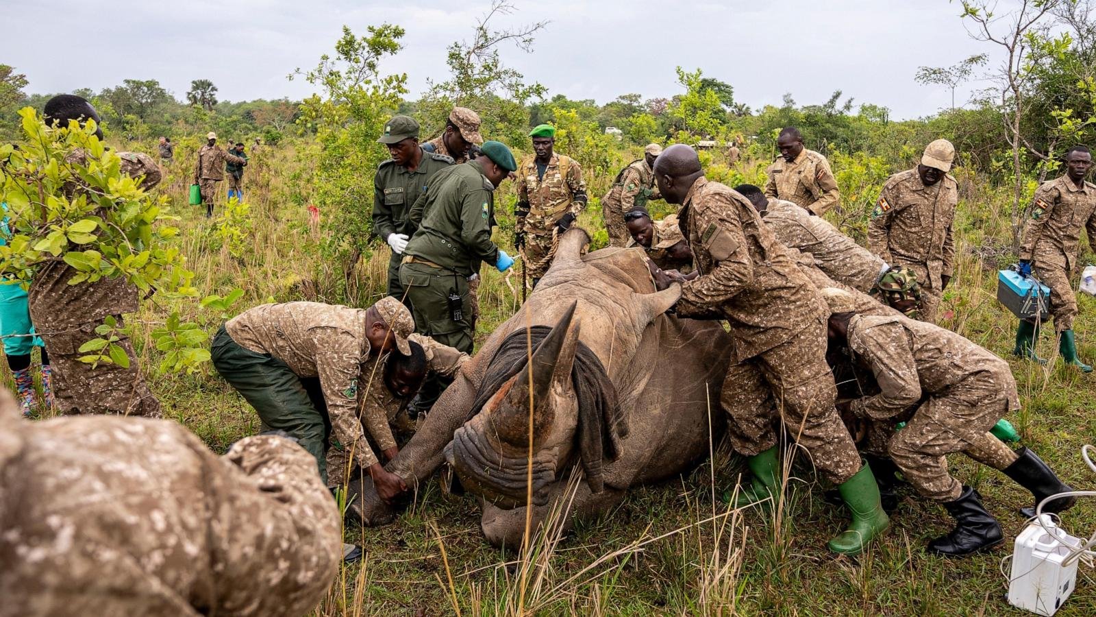 [#content_spinnerchief] 