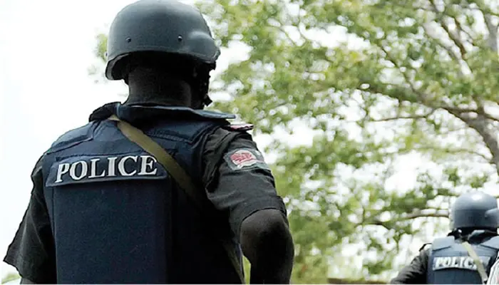 State police: Nigerians divided as National Assembly passes historic bill  